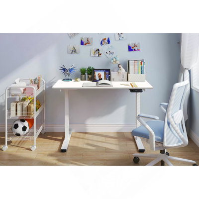 Electric Standing Desk Adjustable Height Desk Home Office Computer Workstation Sit Stand up Desk, Dual Motor, 48 x 24 Inches (White Top +White Frame)