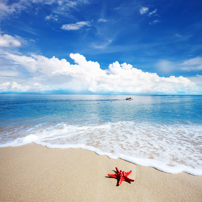 Tropical Island Beach - Wrapped Canvas Print, 91cm H x 91cm W x 3.8cm D