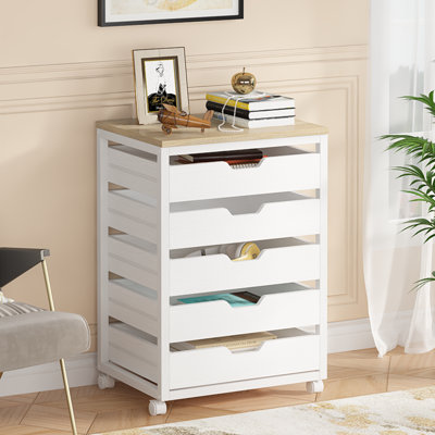 Mechella 19.69'' Wide 5 - Drawer Storage Cabinet