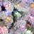 Home Heritage 7' Pine White Flocked Artificial Prelit Christmas Tree