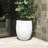 Gethsemane Pot Planter-1507881371-1522835328
