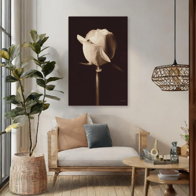 Rose moderne et contemporaine