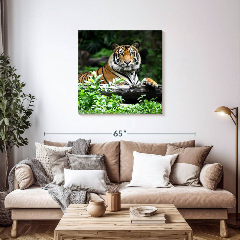 Brampt Resting Bengal Tiger