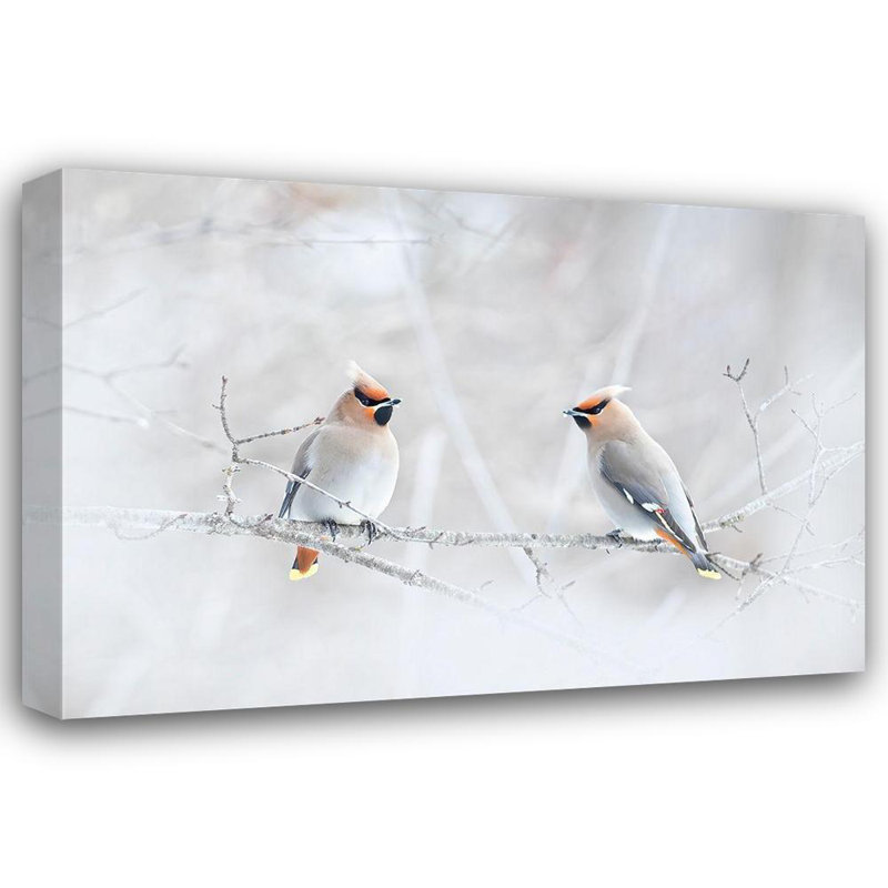 Alcott Hill®, Cumming, Jim, toile tendue sur châssis, "Bohemian Waxwings"