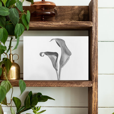 Calla Lily Flowers Abstract Contemporary Wall Art
