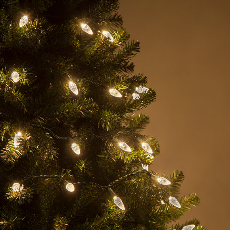 70 Light C6 LED Christmas String Lights, Warm White