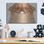 «Pekingese Porter des lunettes de hipster» par les affiliés Furbaby-173905685