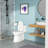 Ceramic One Piece Toilet