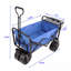 Chariot de plage pliable-123509948