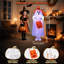Halloween Decoration