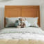 Lit plateforme en bois massif Lamayia avec pied de lit et tiroirs de rangement-832896266-832896269