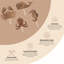 Cove 4-pc. Sea Life Motifs Wall Décor
