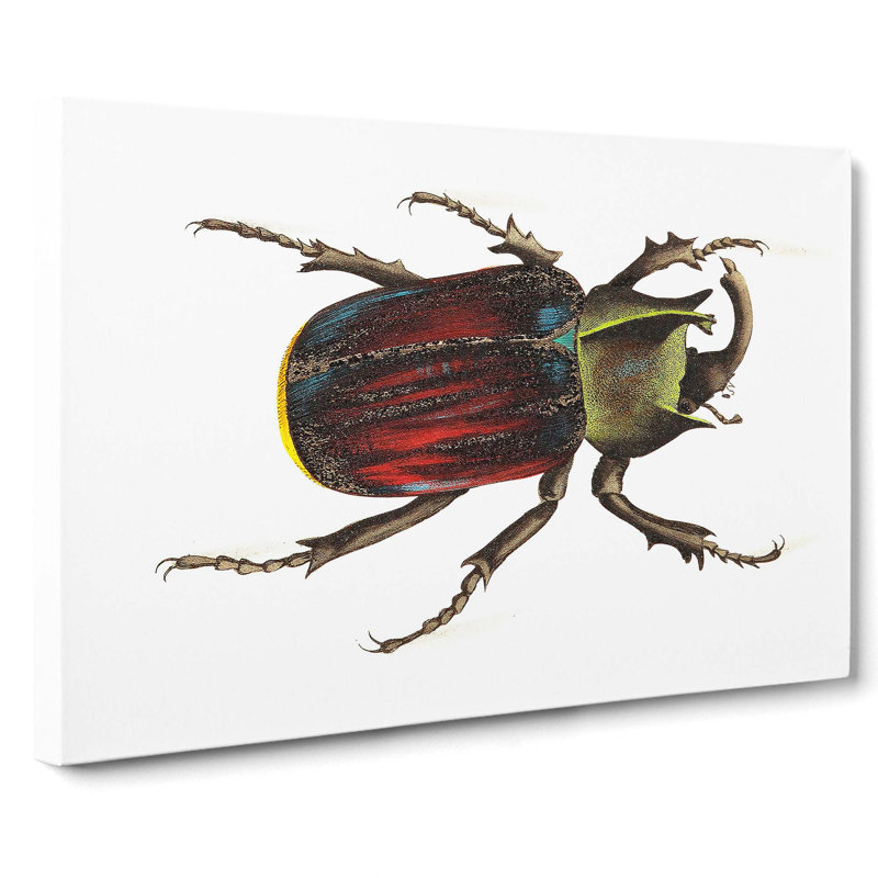 Typhon Beetle by George Shaw - Wrapped Canvas Painting, 40cm H x 60cm W x 3cm D