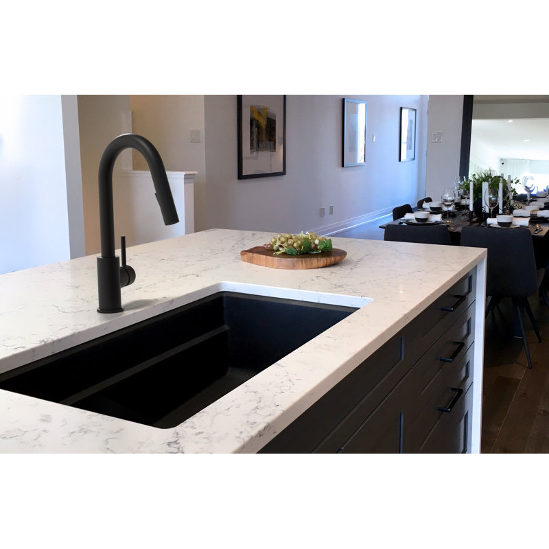 Olympia Faucets I2V Pull Down Kitchen Faucet, Matte Black