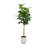 6ft Artificial Rubber Tree