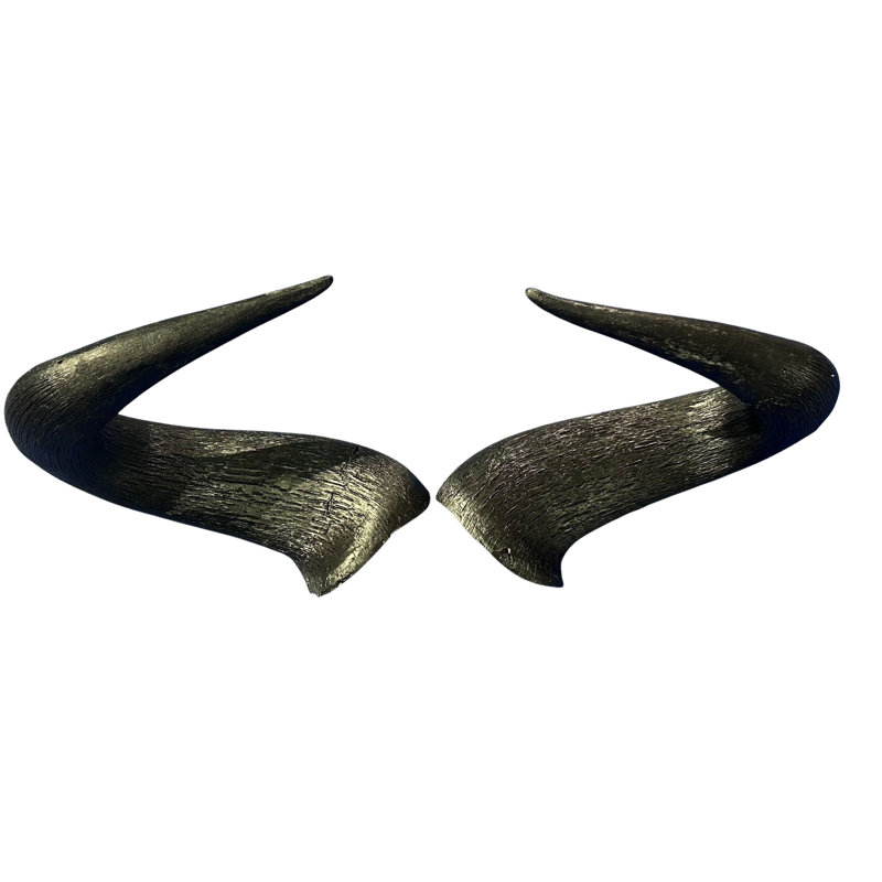 Real Blue Wildebeest Horn Set