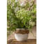 Beth Pot Planter