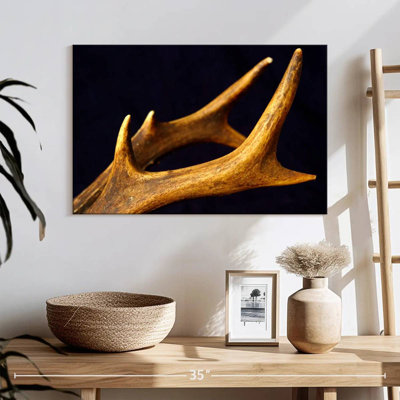 Bois de cerf Brampt