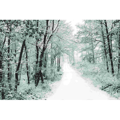 Snowy Lane
