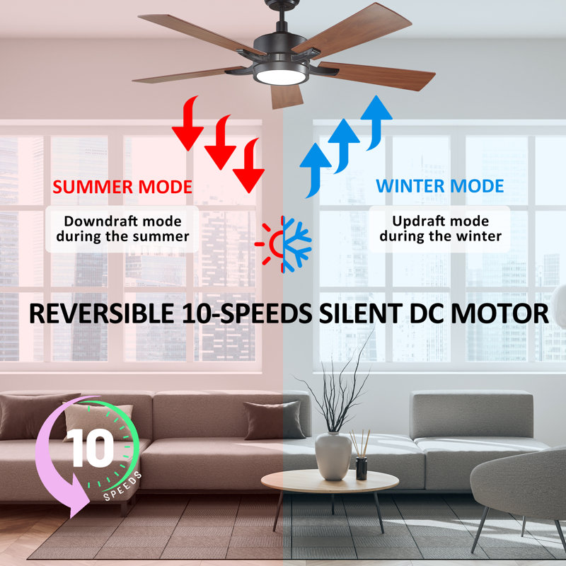 Marshalltown 56'' Smart Ceiling Fan With Wall Control, Light Kit Included,Works With Google Assistant And Amazon Alexa,Siri Shortcut.