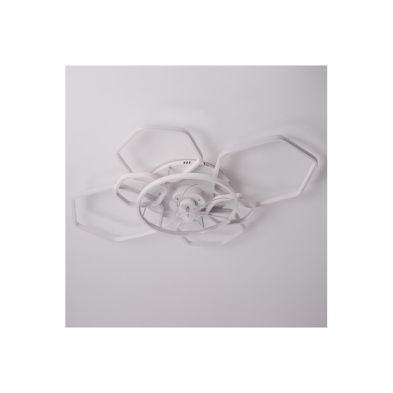 Ceiling Fan with LED Lights