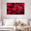 Harnek Dewy Poinsettia-108908448