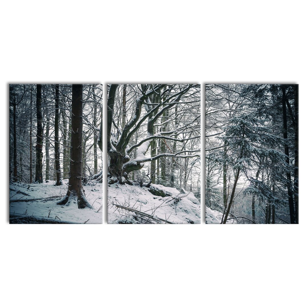 3-tlg. Leinwandbilder-Set Wald mit Schnee bedeckt