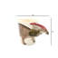 1A257A180AFF41C9AD1C13ACF0EF080A Tasse de dinosaure Parasaurolophus 10 oz