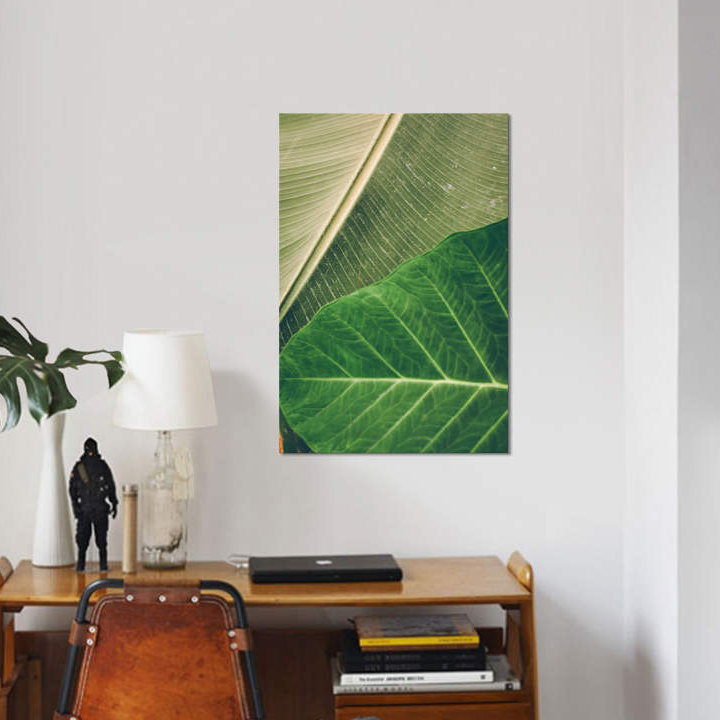 «Leaves I», impression sur toile, H 40 po x l 26 po x P 1,5 po, Toile tendue, Pas de tapis