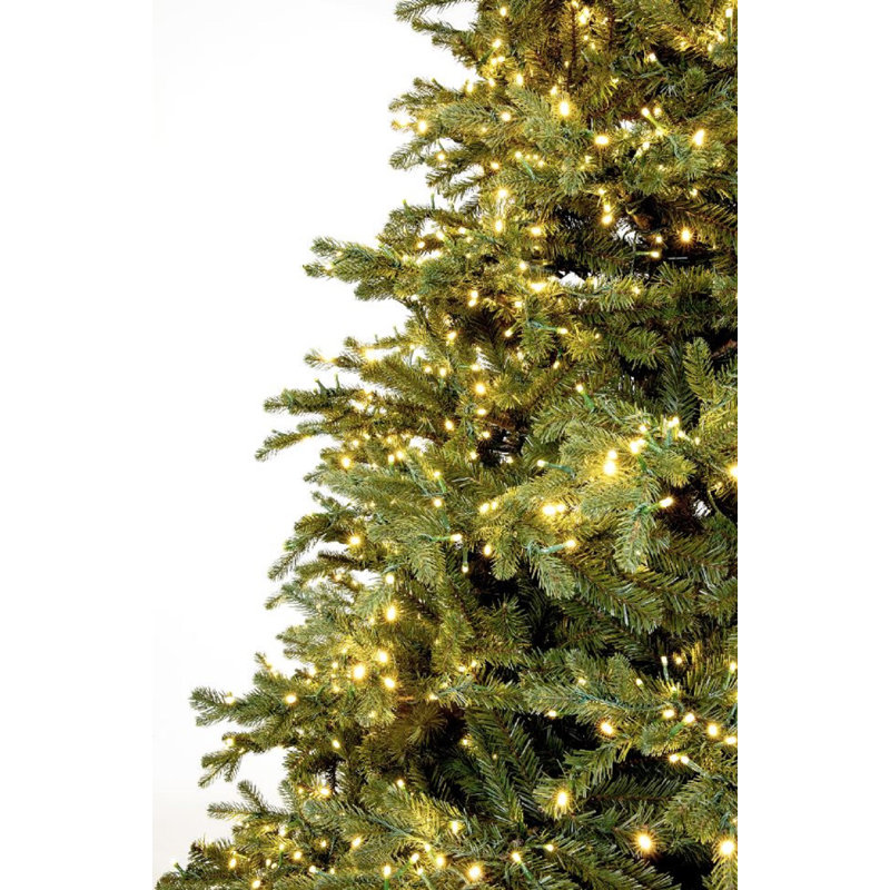 Carolina Fraser Artificial Christmas Tree Clear Lights, 7.5'