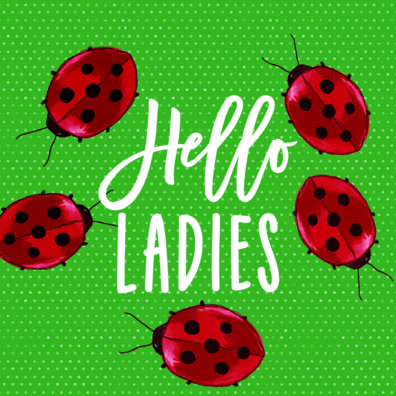 " Hello Ladies "