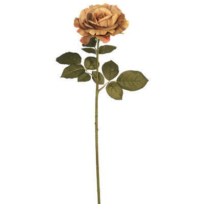 Roses et tiges