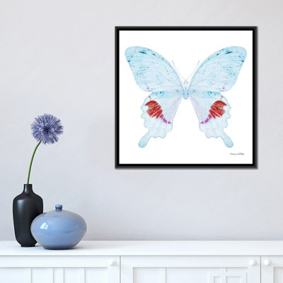 « miss papillon x-ray xxii », impression sur toile