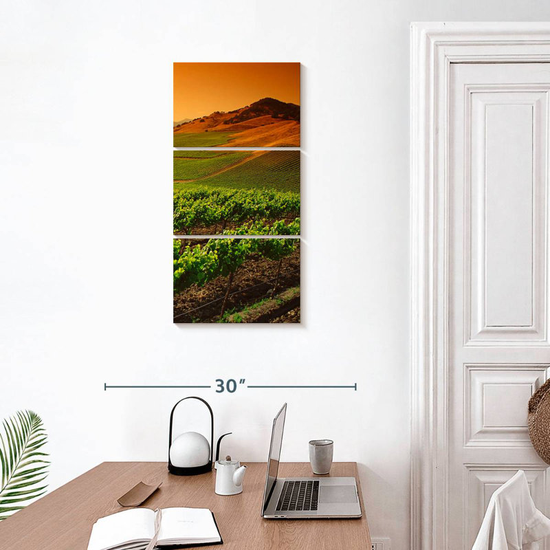 Carneros Vineyard Twilight, H 32 po x l 15 po