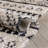 Marzana Animal Print Indoor Rug-57953457