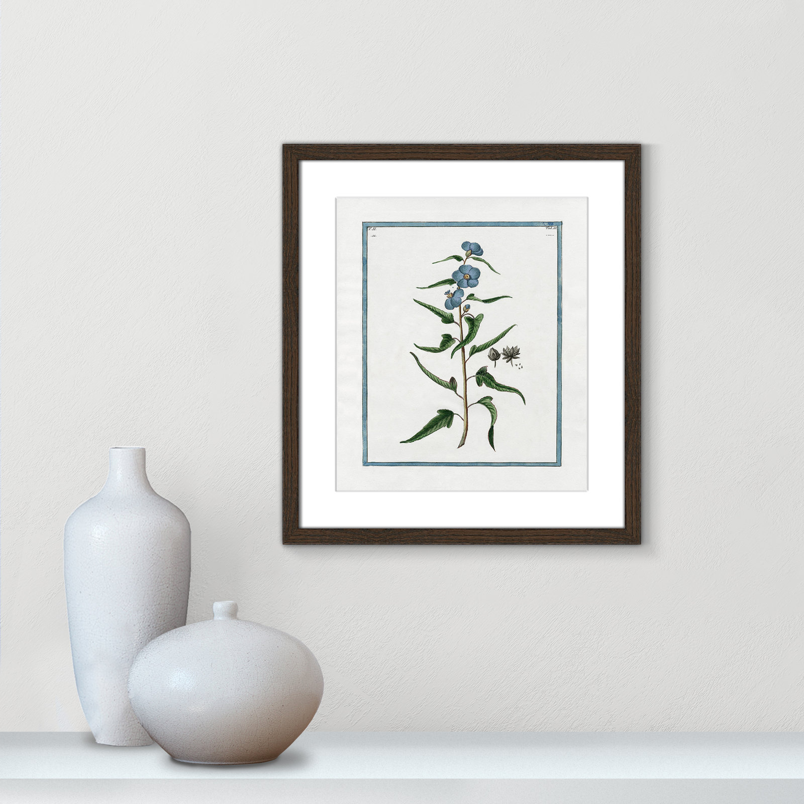Colombe "Shabby Elegance Botanical I" Print, 13" W x 15" H, Walnut Framed