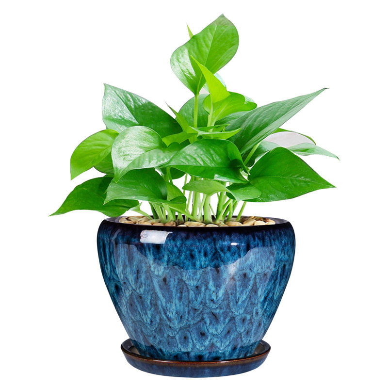 Ceramic Modern Glaze Succulent Planter Pot, 5.6" H x 6.3" W x 6.3" D