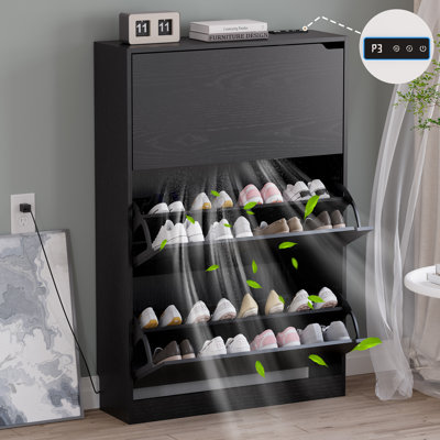 Armoire de rangement pour chaussures à 3 niveaux désodorisants | Organisateur de porte rabattable en noir