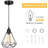 1 - Light Satin Black Single Pendant