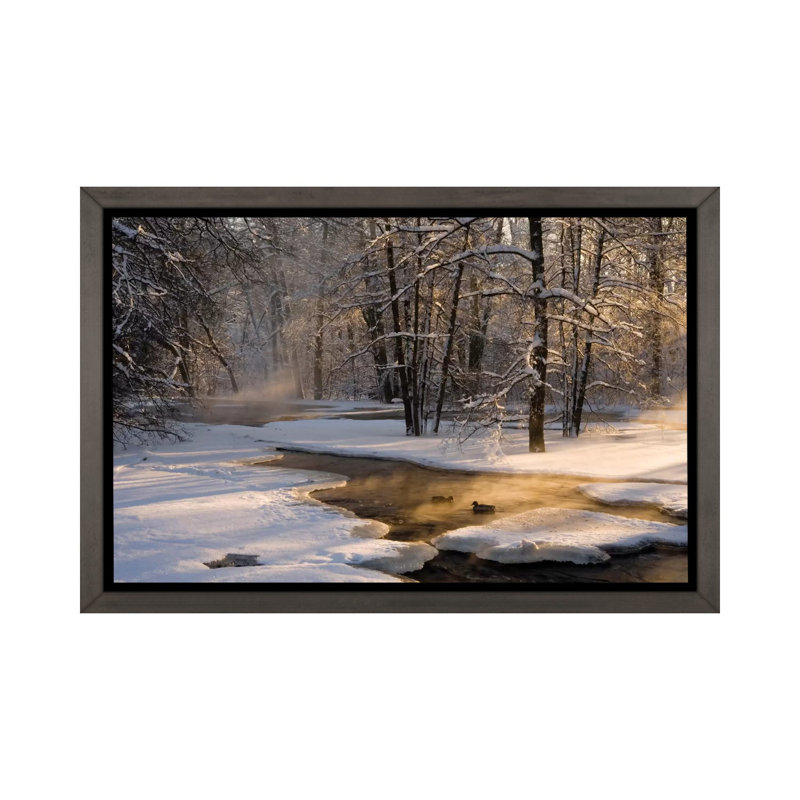 «The First Light» par Robin Eriksson - reproduction de photo, H 40 po x l 60 po x 1,5 po, Toile avec cadre en bois gris