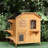 Outdoor Wooden Cat Shelter - Enclosure With Openable Roof And Space For Multiple Cats 2-storey House To Enjoy Their Time