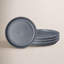 Dark Grey Speckle Coupe Medium Plates