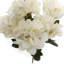 Arrangement
