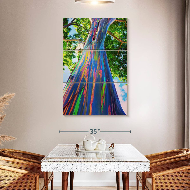 Eucalyptus Harnek Oahu Rainbow, H 23 po x l 14 po