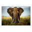 Art mural sur toile tendue - Alberto Ghizzi Panizza «Encounters In Serengeti», art mural pour salon, chambre à coucher ou bureau - 16 x 24-22374305