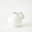 Curt Pitchers-White-Sm