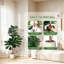 Plant-96273164