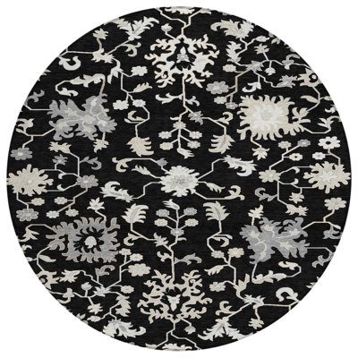 Machine Washable Indoor/Outdoor Xhevrie Black Rug