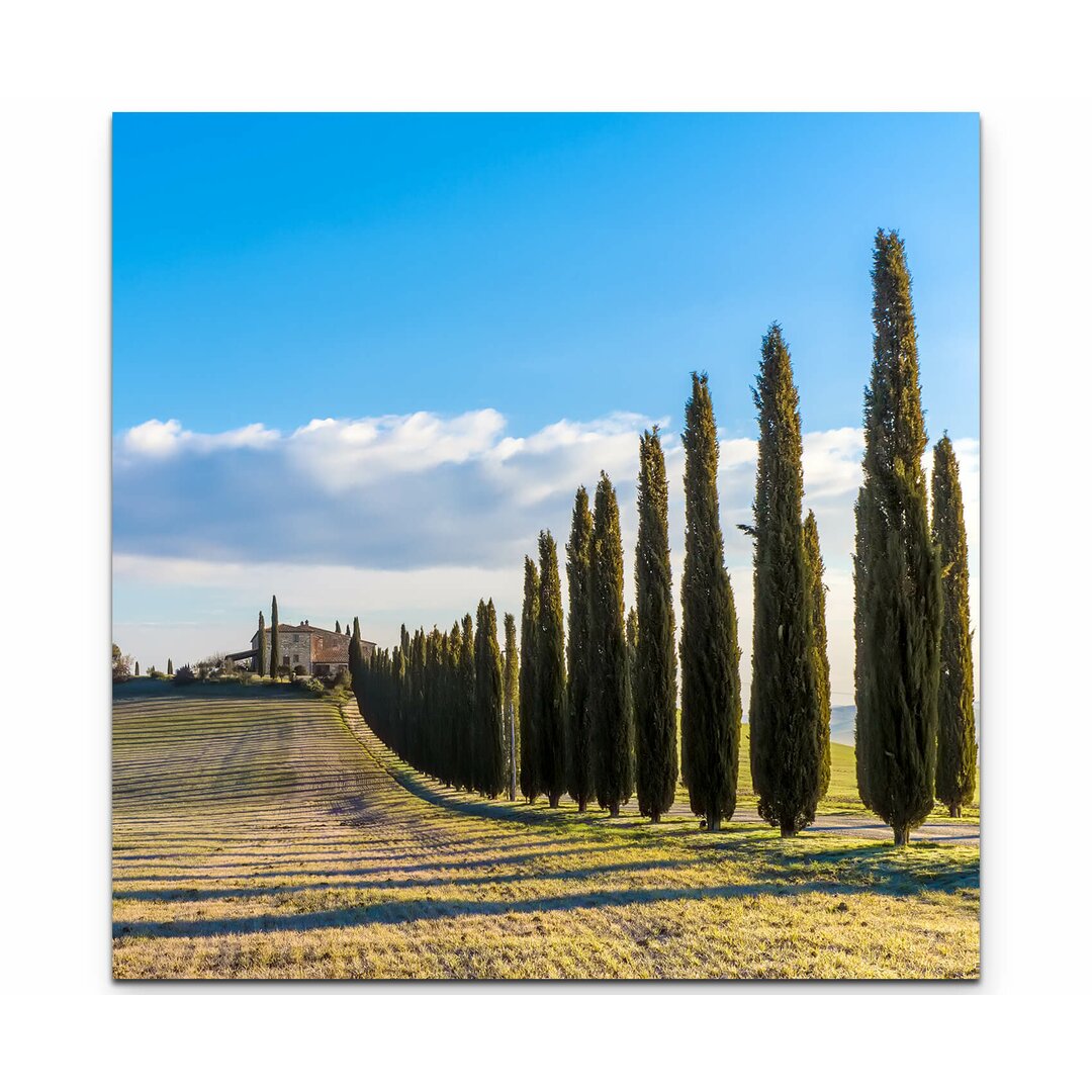 Leinwandbild Das wunderschöne Val d'Orcia mit Zypressen – Toskana