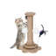 Armoire en noyer pour chats et maisons - utilisation polyvalente, design élégant, lit pour chat Joy Mid-Century, joyeux, fonctionnel